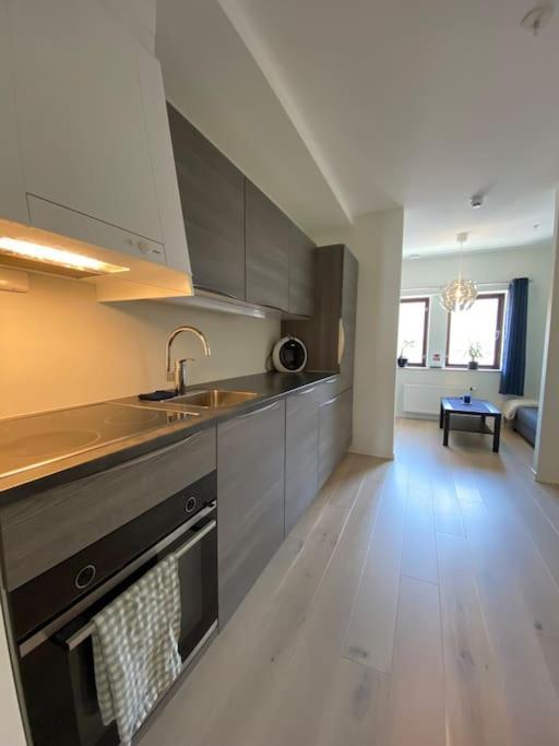 Moderne Leilighet Midt I Sentrum Av Fredrikstad Kültér fotó