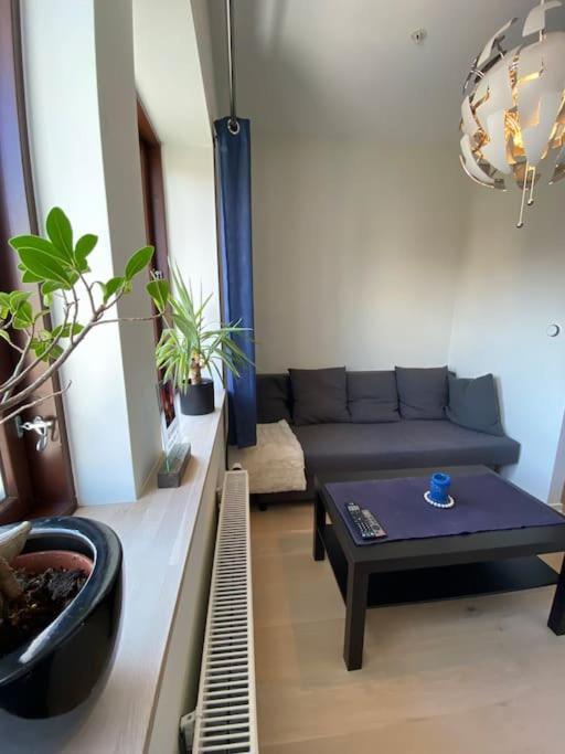 Moderne Leilighet Midt I Sentrum Av Fredrikstad Kültér fotó